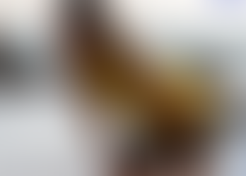 5 Of Our Favorite Products From 2022