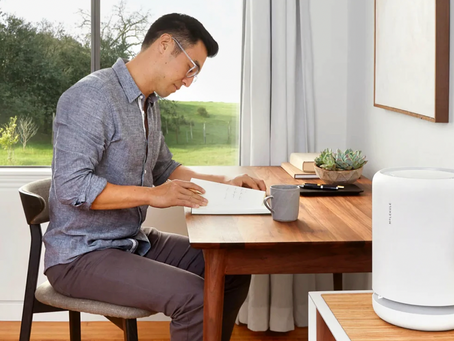 The Only Air Purifier You'll Ever Need