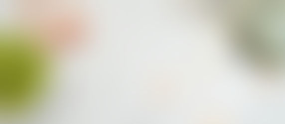 Biblical Stewardship (Part 1) - Managing What God Gives You