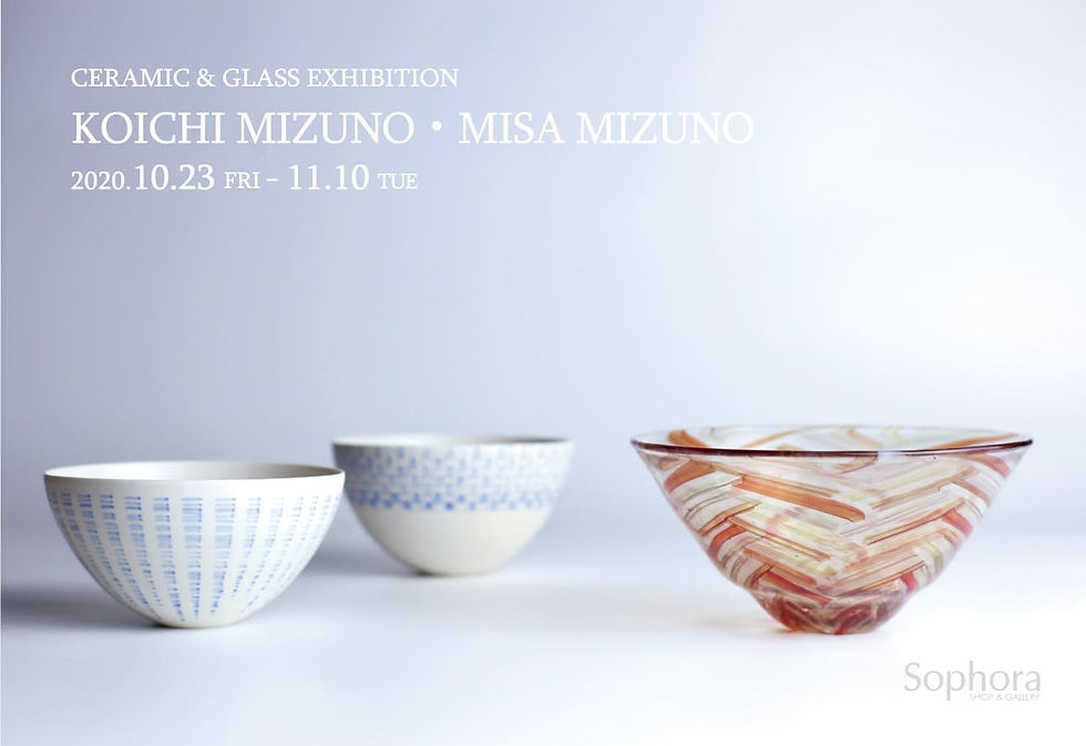 水野幸一・みずのみさ展