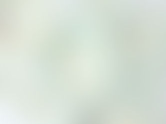 【 黒川正樹 展 】より、流蒼釉 各種皿