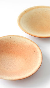 打田 翠 Midori UCHIDA | sophora