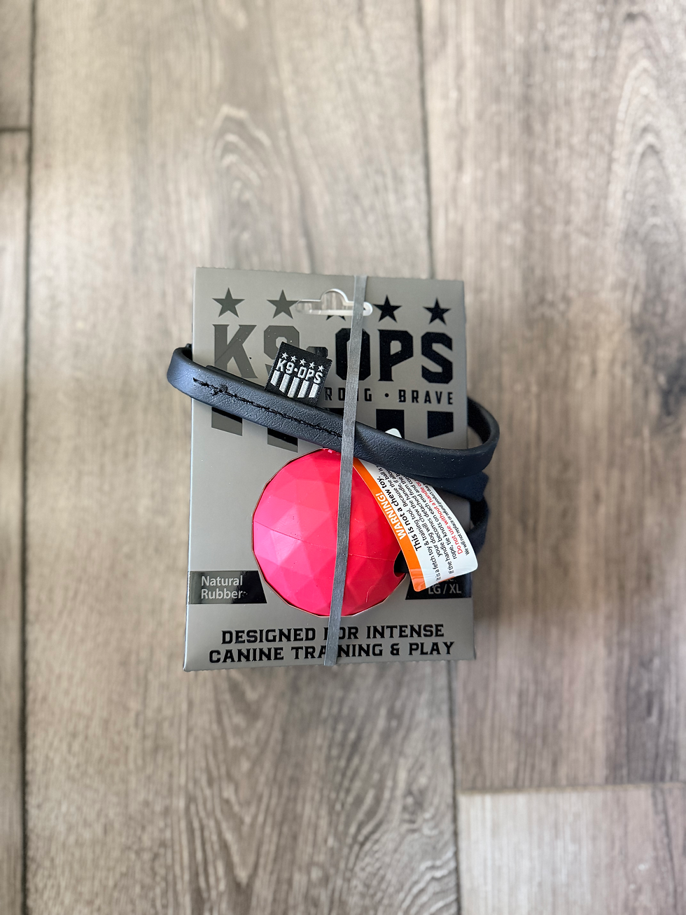 Thumbnail: K9 Ops Ball - Biothane Ball Tug - LG/XL