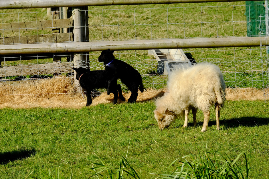 Having fun in the sun!