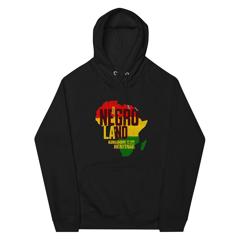 Negroland herritage eco raglan hoodie