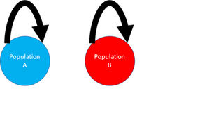 Connecting The Dots: Using Cross-Correlations to Understand Population Connectivity