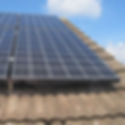 Bird Mesh Proofing
