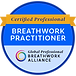 certifiedProfessionalBWPractitioner.png