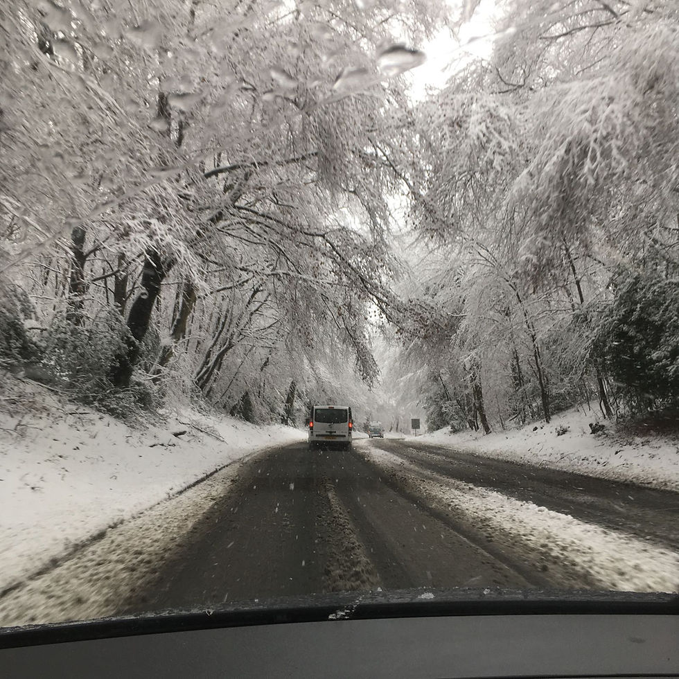 Driving in a Winter Wonderland!