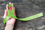 AdobeStock_205346744.jpeg