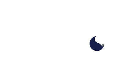new moon ideas, logo, owned by Navin Chand, strategic marketing, 2017 rebranding