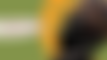 Edna realiza ações em homenagem ao povo negro