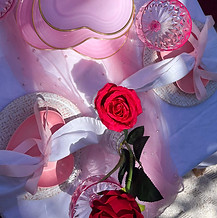 Romantic Red and Pink theme DIY picnic hire on the Gold Coast.