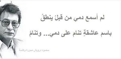 haidar1395256551831.jpg