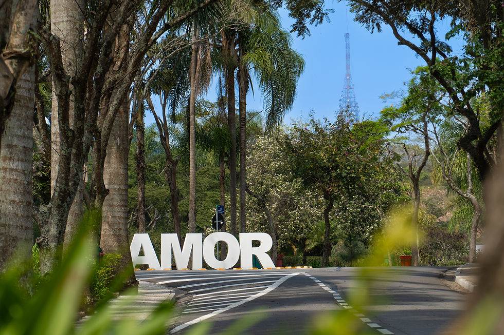 memorial-parque-jaragua(12).jpg