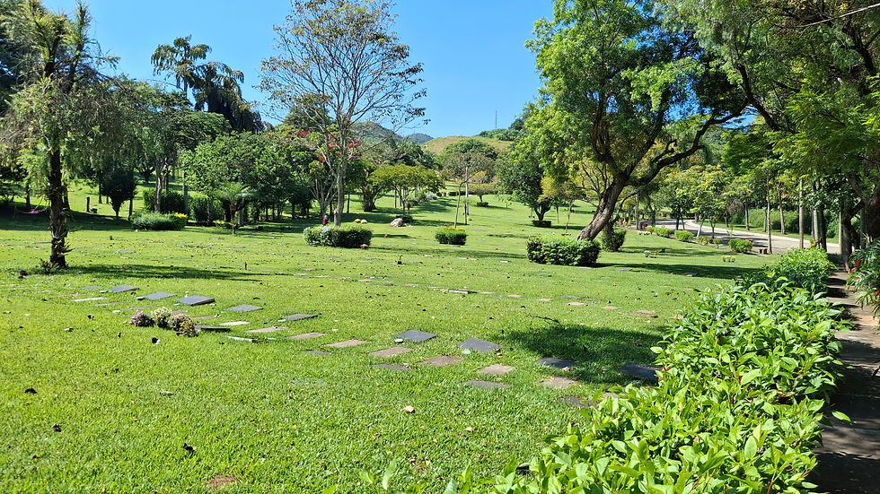 memorial-parque-jaragua (3).jpg