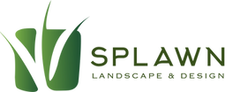 SPLAWN Logo (1).png