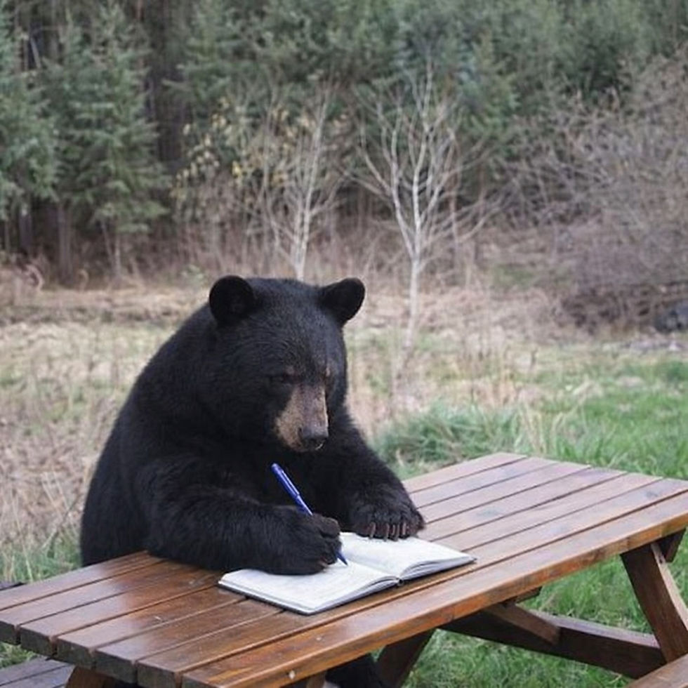 AN OPEN LETTER FROM “THE BEAR”