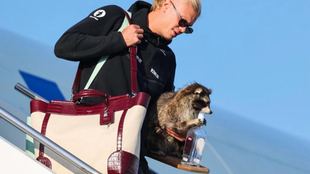 Haaland Returns to Norway with a Raccoon Instead of the World Cup Trophy