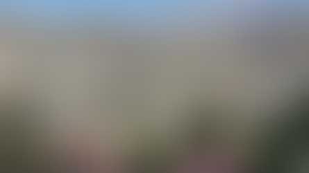 A major bridge in Iran has been split in two following a bombing