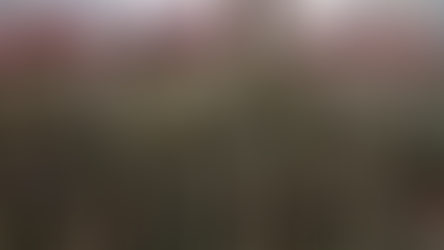 "Mandatory Service" Introduced for Reservists in Germany