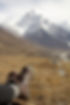 hiking-792800_1280.jpg