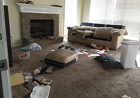 Atlanta Painting and Construction Trash Out Yard Clean Up Services