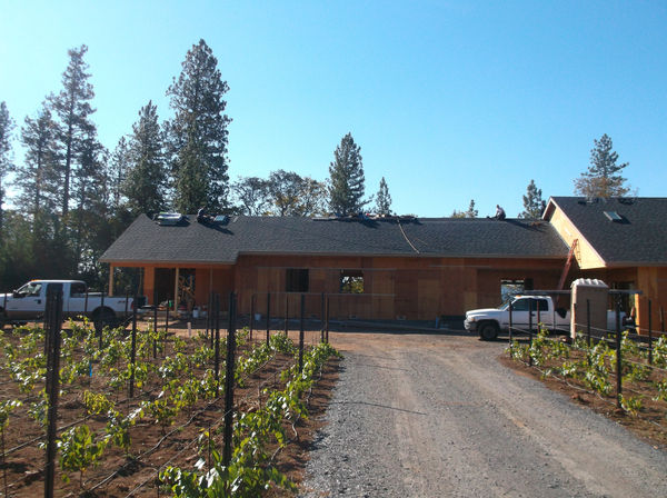 Shingle Roof