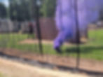 Smoke Bomb