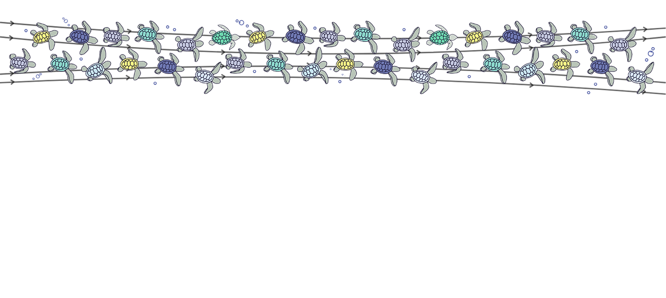 MMM 2025 website banner_new.png