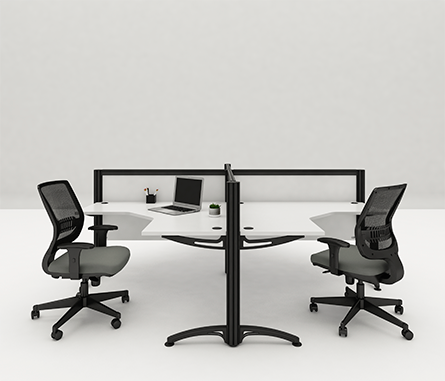 Miniatura: ALPHA | Rivera