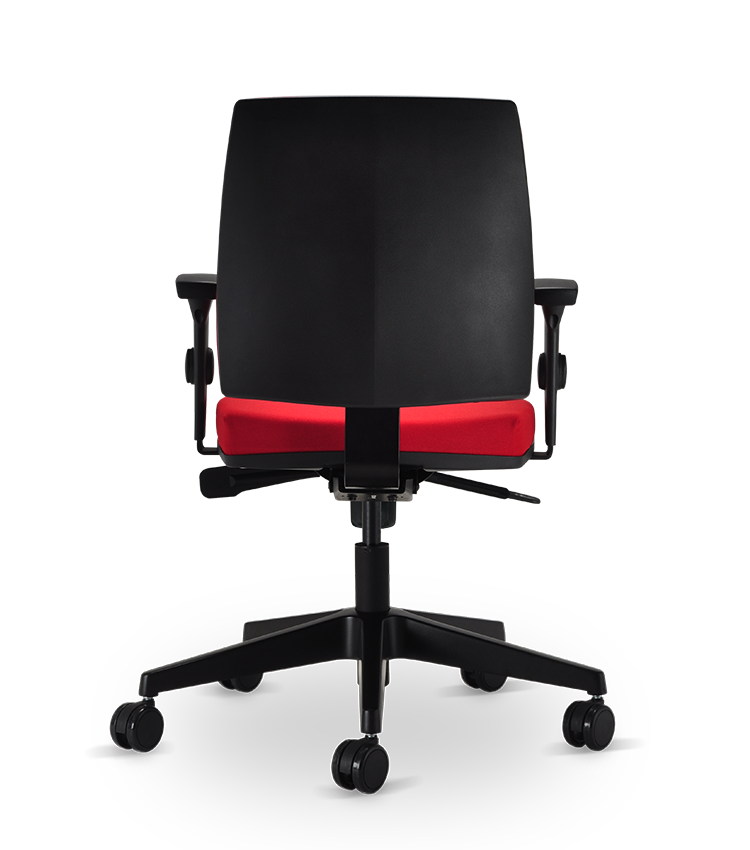 Miniatura: MAIS | Cavaletti