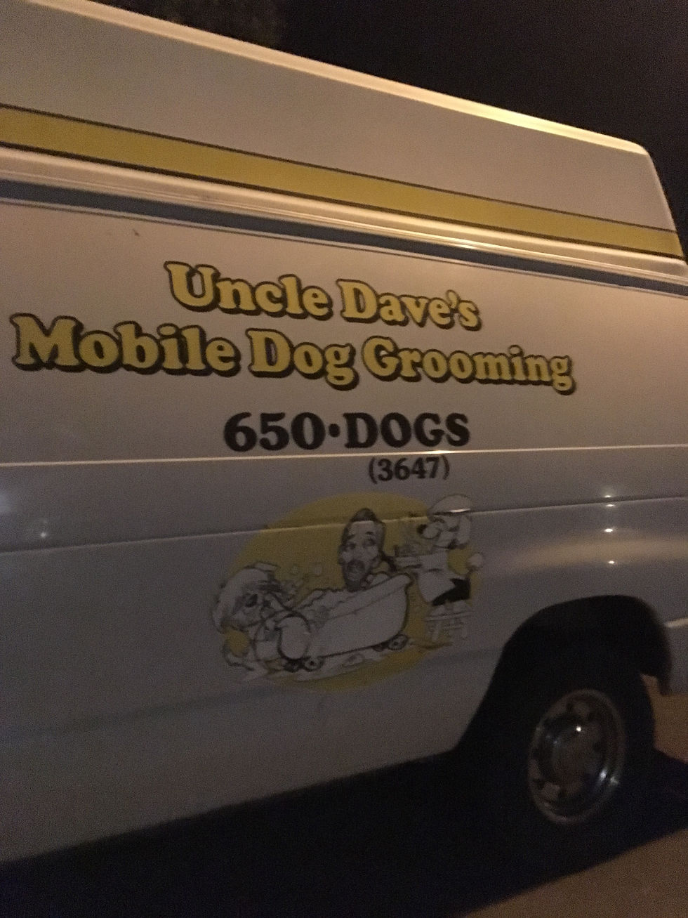 Uncle Daves Van