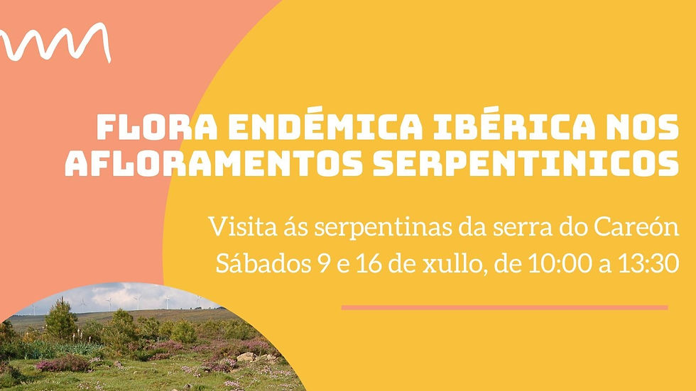 Flora endémica ibérica nos afloramentos serpentinicos - 16 de xullo