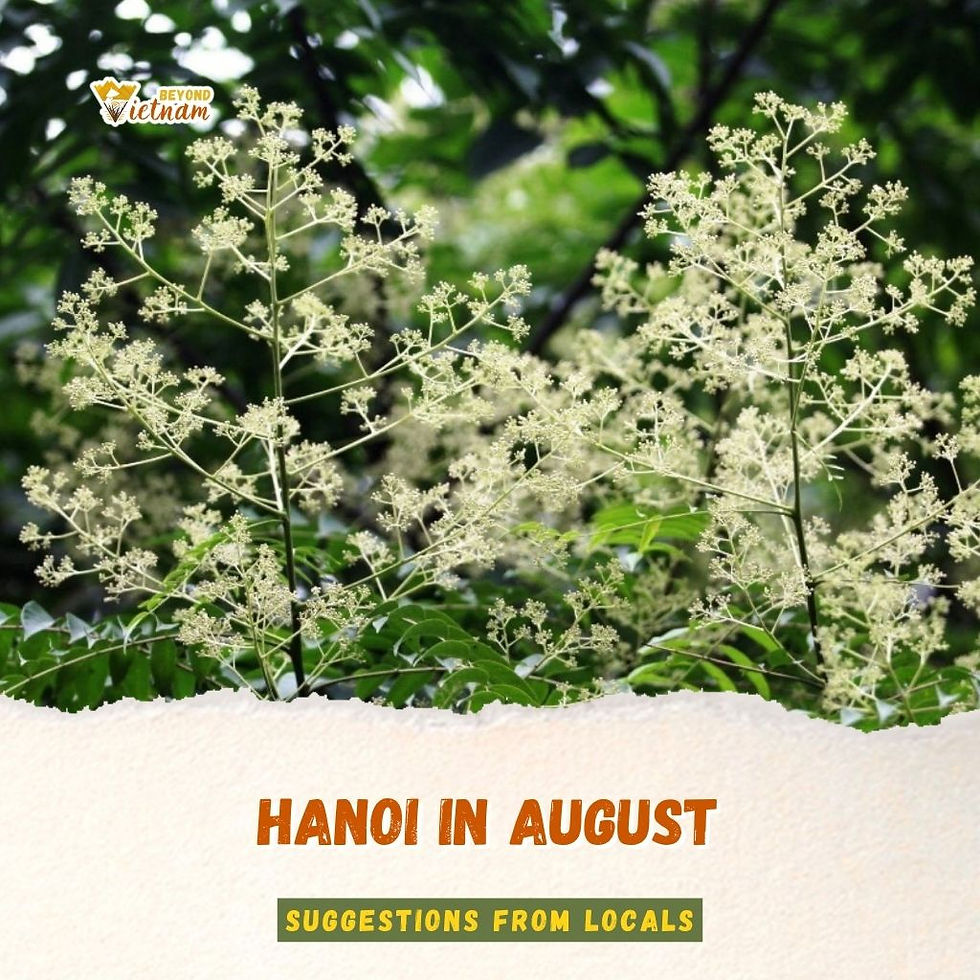 Hanoi in August: Golden Light, Slow Streets, and the Last of Summer