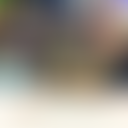 Here we are at the “nộm” - papaya salad with beef jerky shop. Our friends loved eating in such a loc