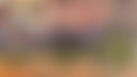 VIETNAM TRAVEL GUIDE: Your Comprehensive Companion