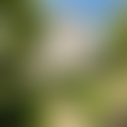 Et si c’était le bon moment pour acheter