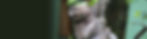 ecoshots-main-banner.jpg