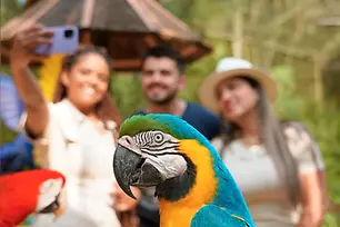 Parque das Aves