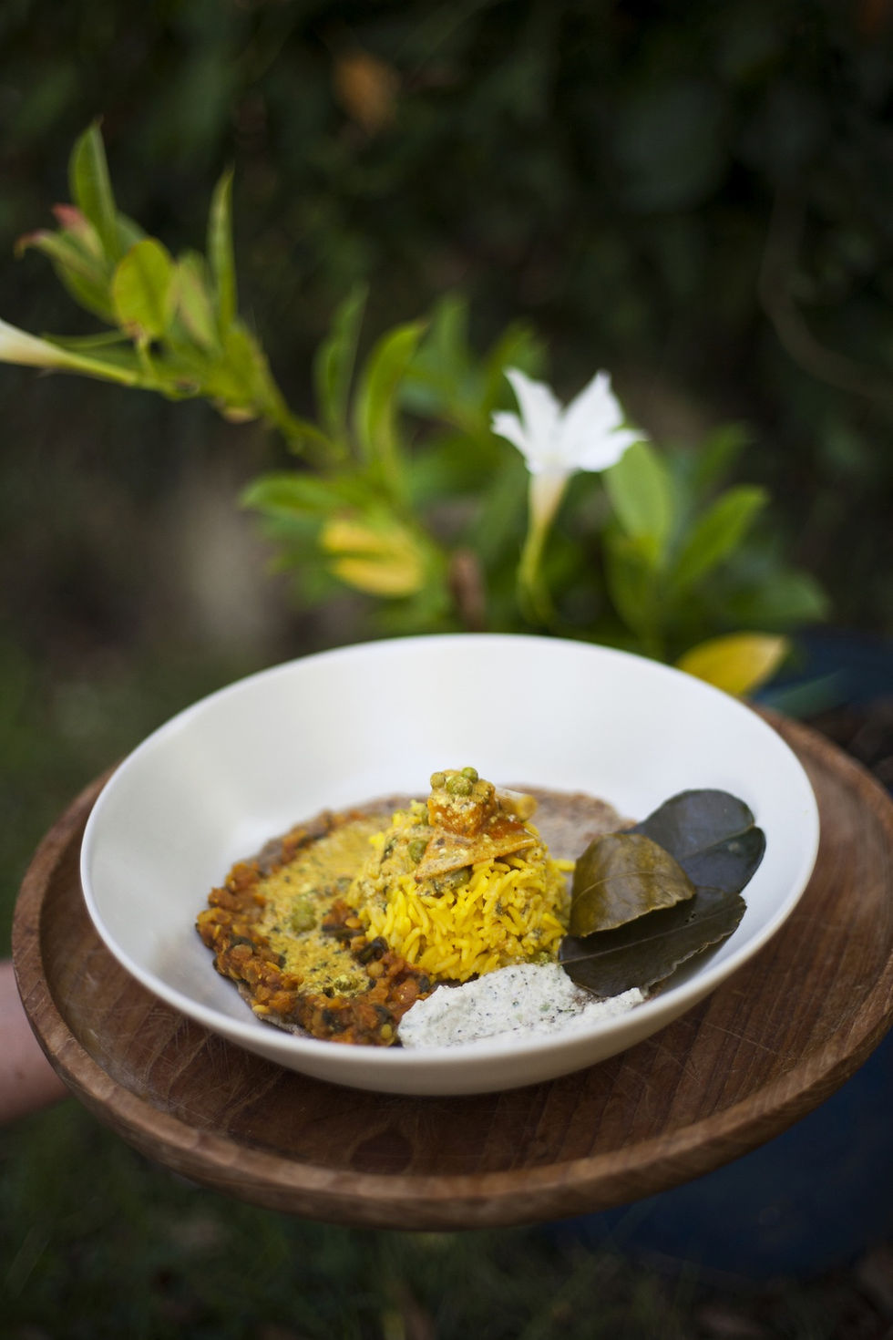 Curry_Vertical 30pct