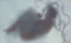 © Chrysalis (2020),Philomène,16 mm photo