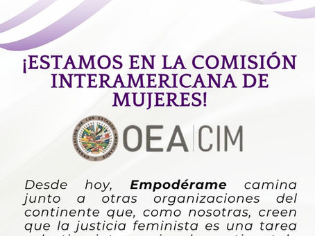 ¡Estamos en la Comisión Interamericana de Mujeres!