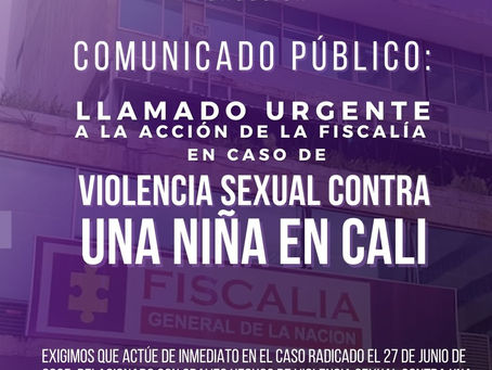 Comunicado Público: Llamado Urgente a la Acción de la Fiscalía en Caso de Violencia Sexual contra una niña en Cali