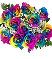 12 Stem Rainbow Roses.png