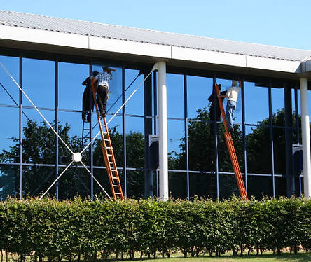 Window Cleaning Service in Seguin, ON cleaning residential home windows