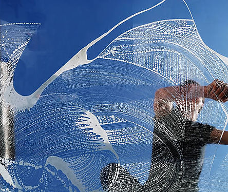 Window Cleaning Service in Seguin, ON cleaning residential home windows