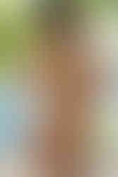 Adobe Firefly AI image to video