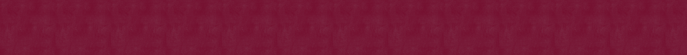 websitebanner2.png