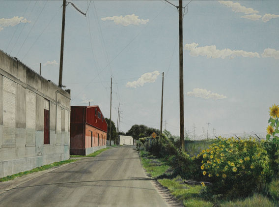 UrbanLandscape_Encroachment2_TannaBennett (2).JPG